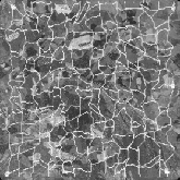 offs.jpg: mc Si solar cell with front grid NOT on grain boundaries